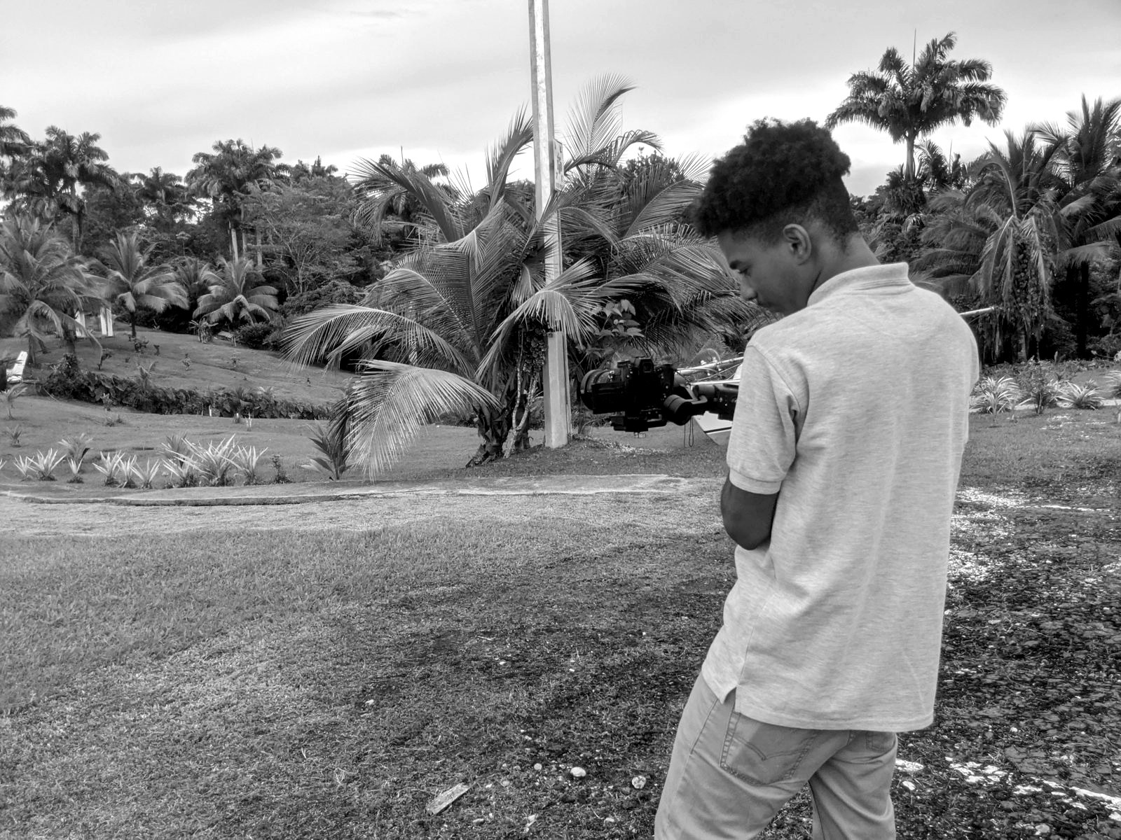 A camera operator filming on a gimbal among palm trees